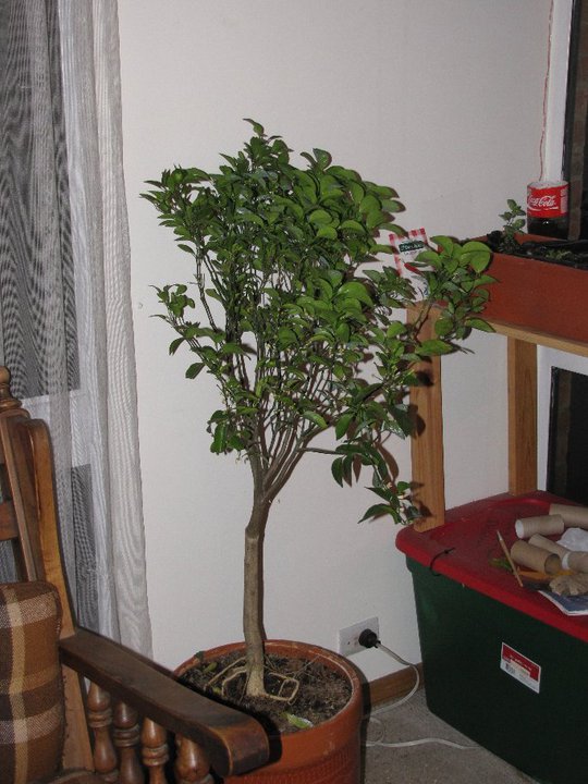 1916172_10150225769190215_6000129_n