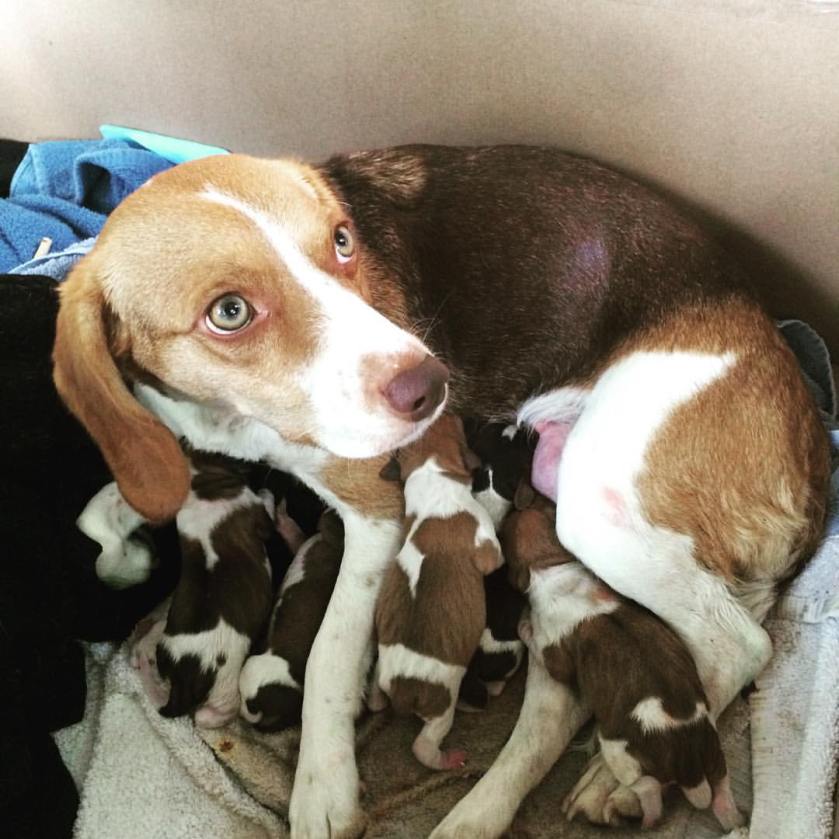 13217269_10156947369590215_6646766069008616926_o